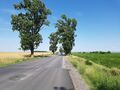 roumanie 003